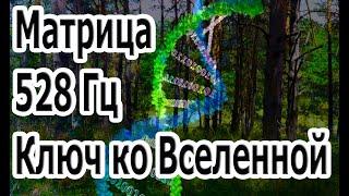 Ключ ко Вселенной Матрица с Частотой 528 Гц - Абсолютная Регенерация Всего Тела.