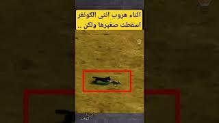 معلومة لعقلك