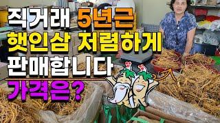 직거래 5년근 햇인삼 수삼 저렴하게 판매 산지직송 보은인삼 금산인삼 풍기인삼 5년근인삼 6년근인삼 - korea ginseng