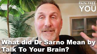 What Did Sarno Mean By Talk To Your Brain?