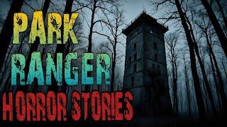 Scary Park Ranger Stories for a Dark Fall Night | Forest Ranger, National Park, Missing Person