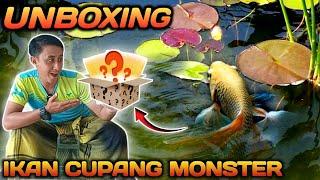 UNBOXING PAKET IKAN CUPANG LANGKA HARGA 75.000 DARI LIVE TIKTOK