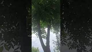 Ни кто нас не вышибит из седла!
