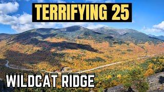 Fall colors on the Wildcat range | white mountains high peaks (Terrifying 25)