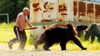 Unexpected Encounters With a Bear. Hungry Bears Attack Cities And Villages.