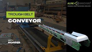 Leading Trough Belt Conveyor Manufacturer in India | Expert Belt Conveyor Manufacturer & Systems