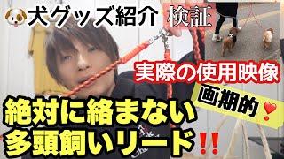 【犬グッズ紹介】絶対に絡まない多頭飼いリード本当に絡まないか検証映像お店の店員さんの説明ありGOLDENMAMA、便利グッズ、ペット博2022、パシフィコ横浜