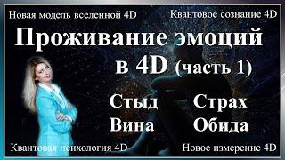 Анатомия проживания эмоций. График чувств. Квантовое сознание 4D.