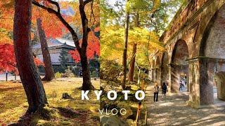 SUB) trip to Kyoto in autumn | Eating alone | Yeonggwando, Nanzenji, Waterway Kaku | Korean VLOG