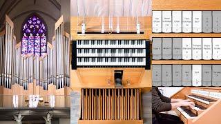 The NEW 'GOCH-Sampleset' - FULL Organ Demonstration - Paul Fey (Hauptwerk - Piotr Grabowski)