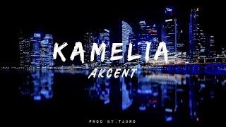 Akcent feat Lidia Buble & DDY Nunes - Kamelia(lyrics) #trending