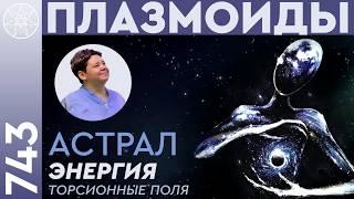 #743 Плазмоиды четвертого уровня плотности. Торсионные поля и материя. Порталы, соединяющие миры.