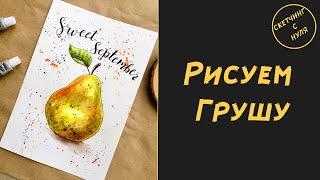 Как нарисовать грушу. Уроки рисования для начинающих, уроки рисования для детей. How to draw Pear