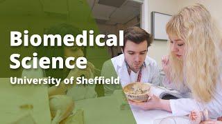 Biomedical Science - University of Sheffield