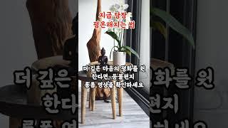 당신을 묶는 3가지 환상|부처님의 지혜로 평온을 찾다|부처님말씀|마음치유|영적성장|불교오디오북