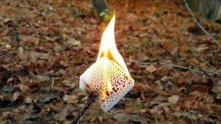 Marshmallow ️ sponges burning  #sponge #fire  ASMR |WATCH IN HD|