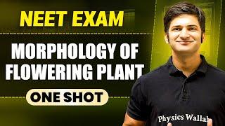 MORPHOLOGY OF FLOWERING PLANTS in 1 Shot || All Concepts & PYQs Covered || Prachand NEET