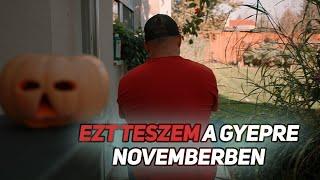 Ezt teszem a gyepre Novemberben.