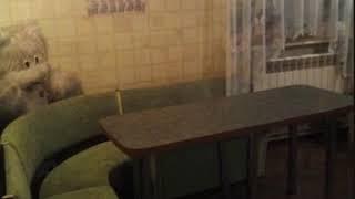 Долгосрочная аренда домов, Мариуполь,Донецкая область Цена:150 $, Любовь.