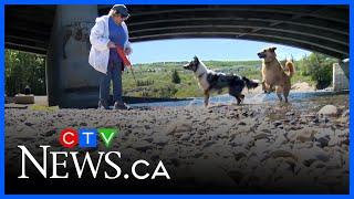 Hot weather leads to health risks