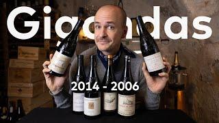 Gigondas - Master of Wine does Deep Dive and Vintage Wine Tasting