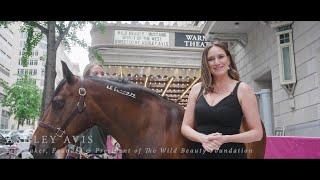 WILD BEAUTY:  MUSTANG SPIRIT OF THE WEST Premieres in Washington D.C. for Congress