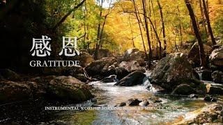 感恩 Gratitude｜等候神音樂 Soaking Music｜舒壓｜睡覺音樂｜放鬆壓力｜情緒治癒 ｜學習音樂 工作音樂 #relaxbgm #streerelief #sleep