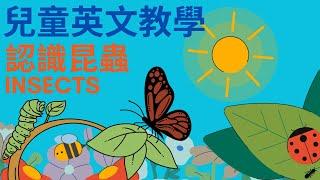 昆蟲英文單字｜認識昆蟲｜兒童英文學習｜中英文單字｜雙語教育｜Insects and bugs in Chinese