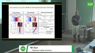 Prof. Nir Gov | Guided by curvature: A theoretical model of cellular shape dynamics and...