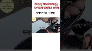 헤어퍼머넌트 기본형  2025년 헤어국가자격증 단 기간에 합격하기 노하우    #헤어국가자격증 #헤어미용 #헤어퍼머넌트 #기본형퍼머넌트 #레이어드컷  #레이어커트