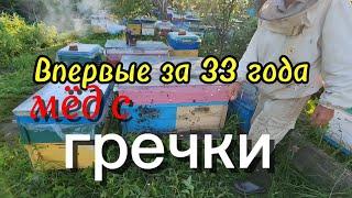 Впервые за 33 года мёд с гречки