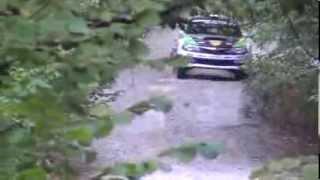 SIMONE TEMPESTINI - FAST ONE -  Ps Dobrovat - Raliul Iasului 2013 @ iasirally.ro