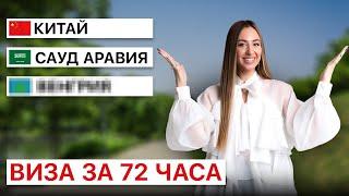 Как БЫСТРО получить визу для россиян в 2024? Страны с ЭКСПРЕСС-оформлением