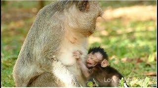 Why Jade Do Weaning Baby Jayden Like This? Baby Jayden Reaction Cry Drama Angry Mom.