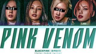 BLACKPINK Pink venom but you are Jisoo & Rosé [Karaoke Color Coded Lyrics]