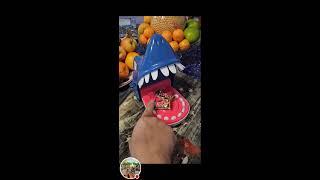 Feeding Shark with Twix Chocolate Bars | ASMR & SATISFYING Sound #subscribe #food #viralvideos #love