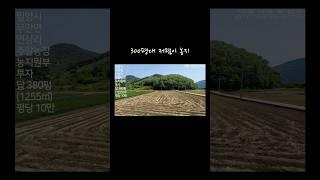 답380평,평당10만#무안면#밀양제일공인중개사