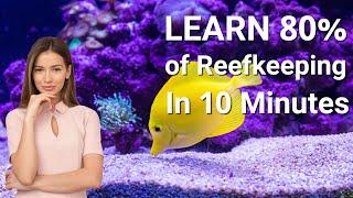 Saltwater Aquarium Basics In 10 Minutes