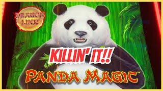 Hot Panda Alert!This Dragon Link Panda Magic Slot Was on Fire!Plus Aria Suite Tour!