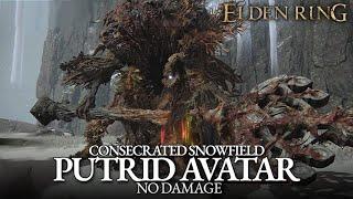 Putrid Avatar Boss Fight (No Damage) - Consecrated Snowfield [Elden Ring]