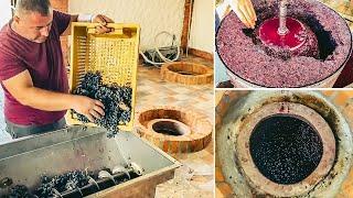 How to Make Wine in Qvevri | Red Wine Making Process