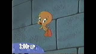 Cartoon Network Sylvester & Tweety Mysteries/Hamtaro promo featuring Granny and Hamtaro (2003)
