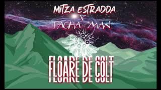 Mitza Estradda - Floare de colt ft. Pacha Man