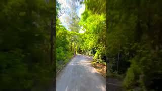 Koh Tao bike road trip ️