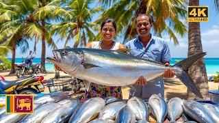 Negombo, Sri Lanka, Fish Market, my Walking Tour at the Best Fish Market in Sri Lanka.