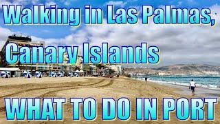 Walking in Las Palmas de Gran Canaria - What to Do on Your Day in Port