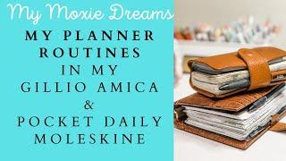 My Planner Routines | Pocket Moleskine Daily | Pocket Planner | Gillio Amica Franklin Covey Inserts