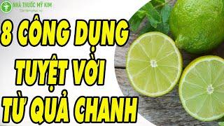 Công dụng chữa bệnh tuyệt vời từ quả chanh - Tác dụng của vỏ chanh, nước chanh bạn có biết?