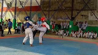 Taekwondo Knockout by a Girl