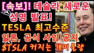 [속보]! 테슬라 새로운 성명 공식 발표! / 일론, 정부 특별 직원 공식사임 공지 / $TSLA 커지는 개미물량 (단기세력 진입후) / TESLA 최고수준 공개 발언(J H)